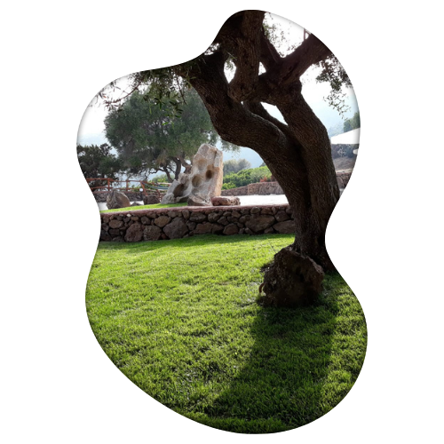 Le camere vista mare dell'agriturismo Codula Fuili
