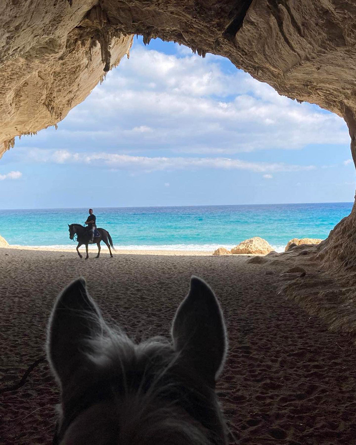 Horseback Riding