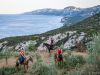 Experiences & Nature
